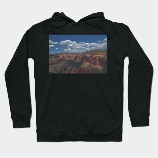 850_7014 Hoodie by wgcosby